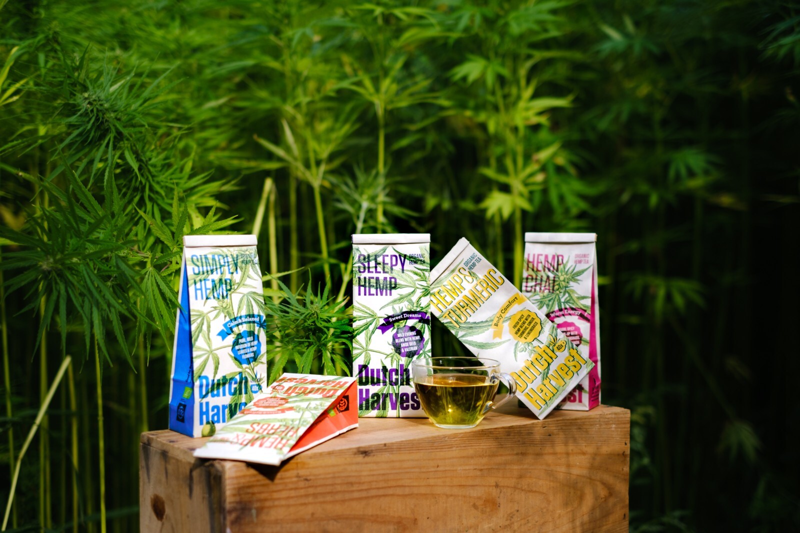 (5 pack bundle) Dutch Harvest – Hemp tea – Organic loose leaves (caffeine free)