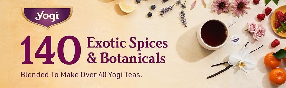 Tea Spiced Blackberry Focus – 16 Bags per Pack (4 Packs) – Organic Blackberry