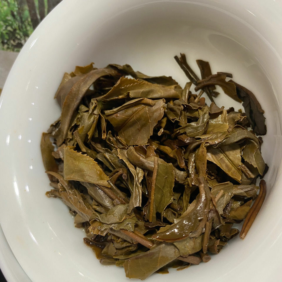 Shen Shan Lao Shu * 2017 Haiwan Old Comrade Lao Tong Zhi Raw Sheng Puer Tea 500g