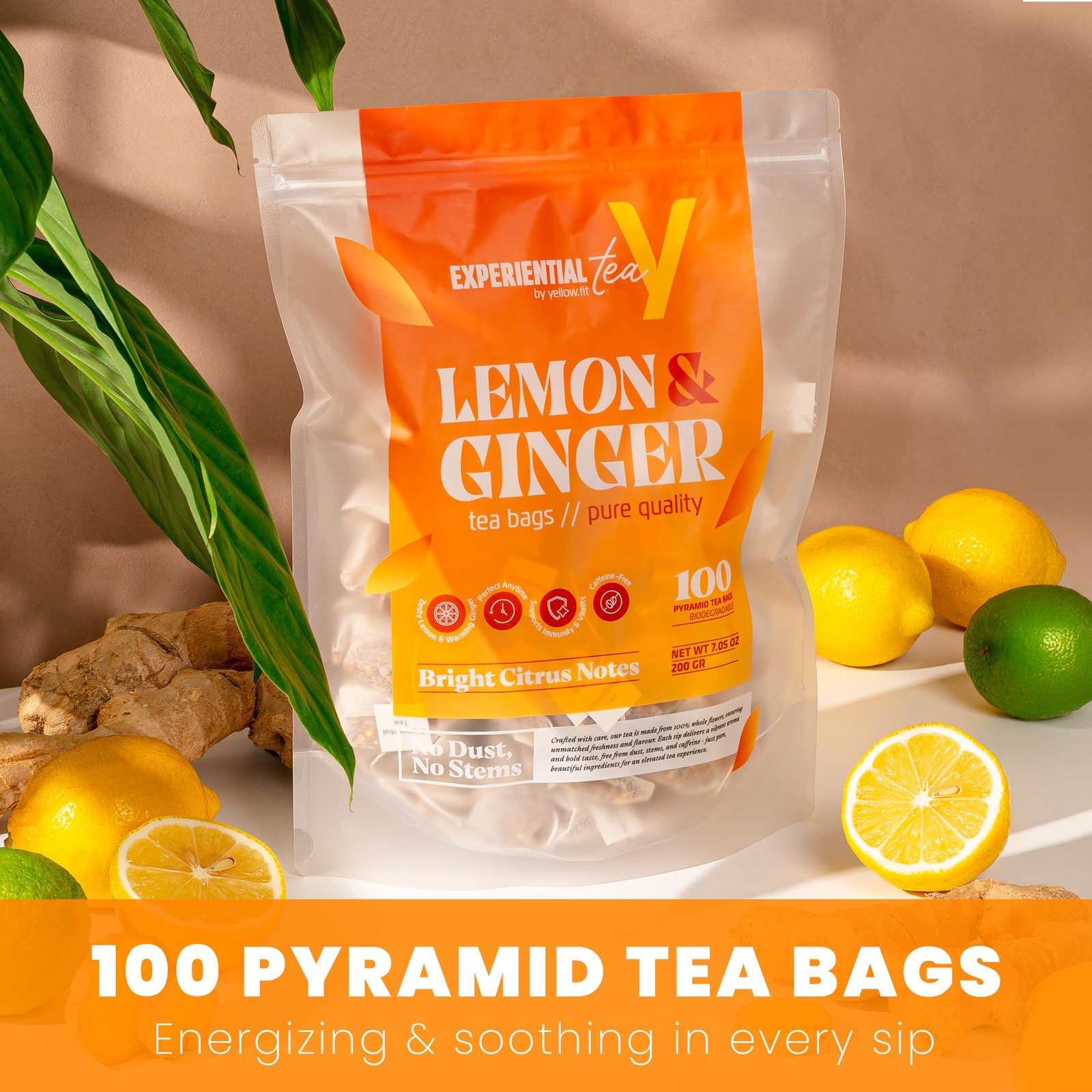 LEMON GINGER, loose leaf 100 tea bags BRIGHT, ZESTY AND SOOTHING