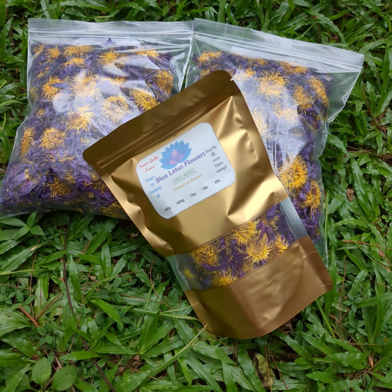 Blue lotus Flower| Dried Nymphaea caerulea Organic Natural Ceylon Herbal Tea 1oz