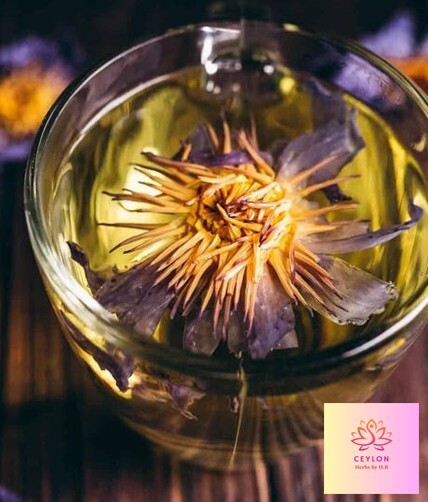 Dried Blue Lotus Flowers Organic Healthy Tea 300g
