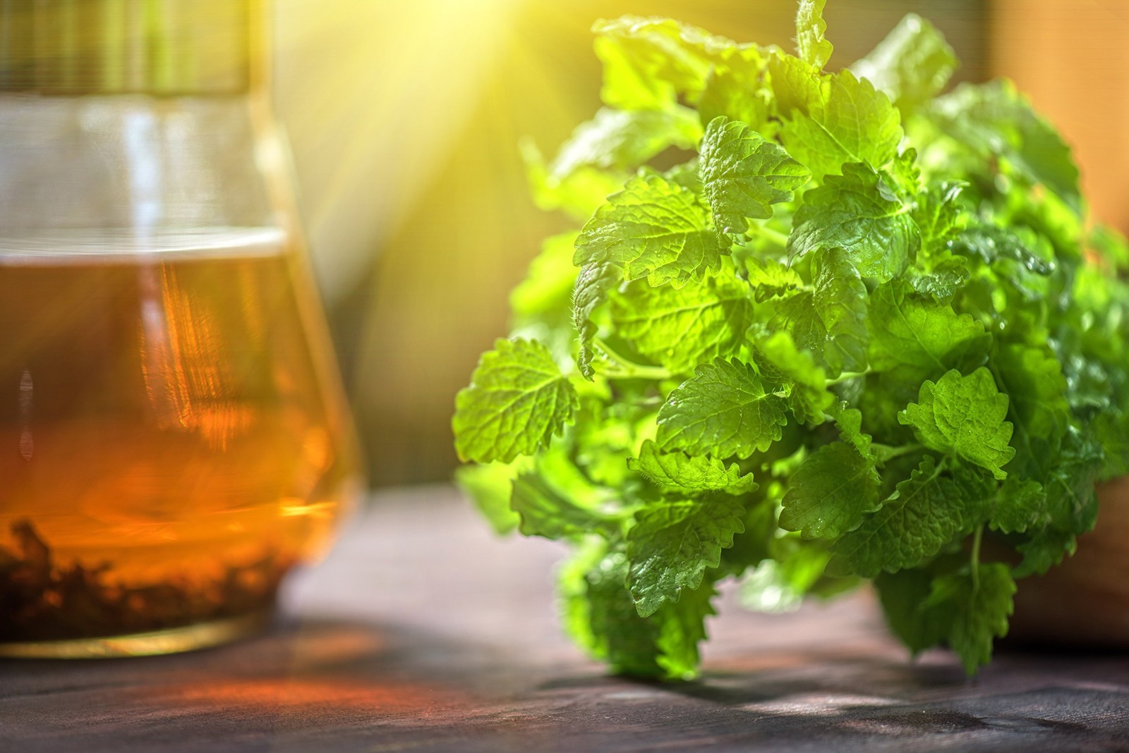 Lemon Balm (Herbal Tea): (Melissa Officinalis Caffeine 1 Pound (Pack of 1)