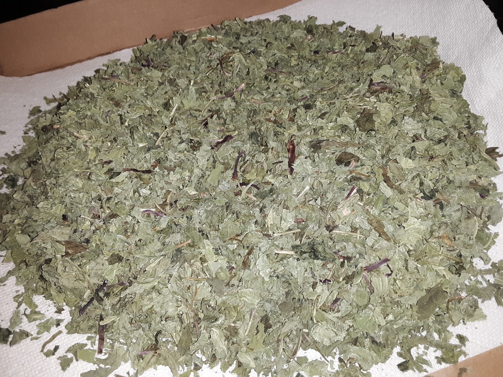 1 Cup Air Dried Broadleaf Plantain(whole plant); For Herbal Tea/Tincture/Salve.