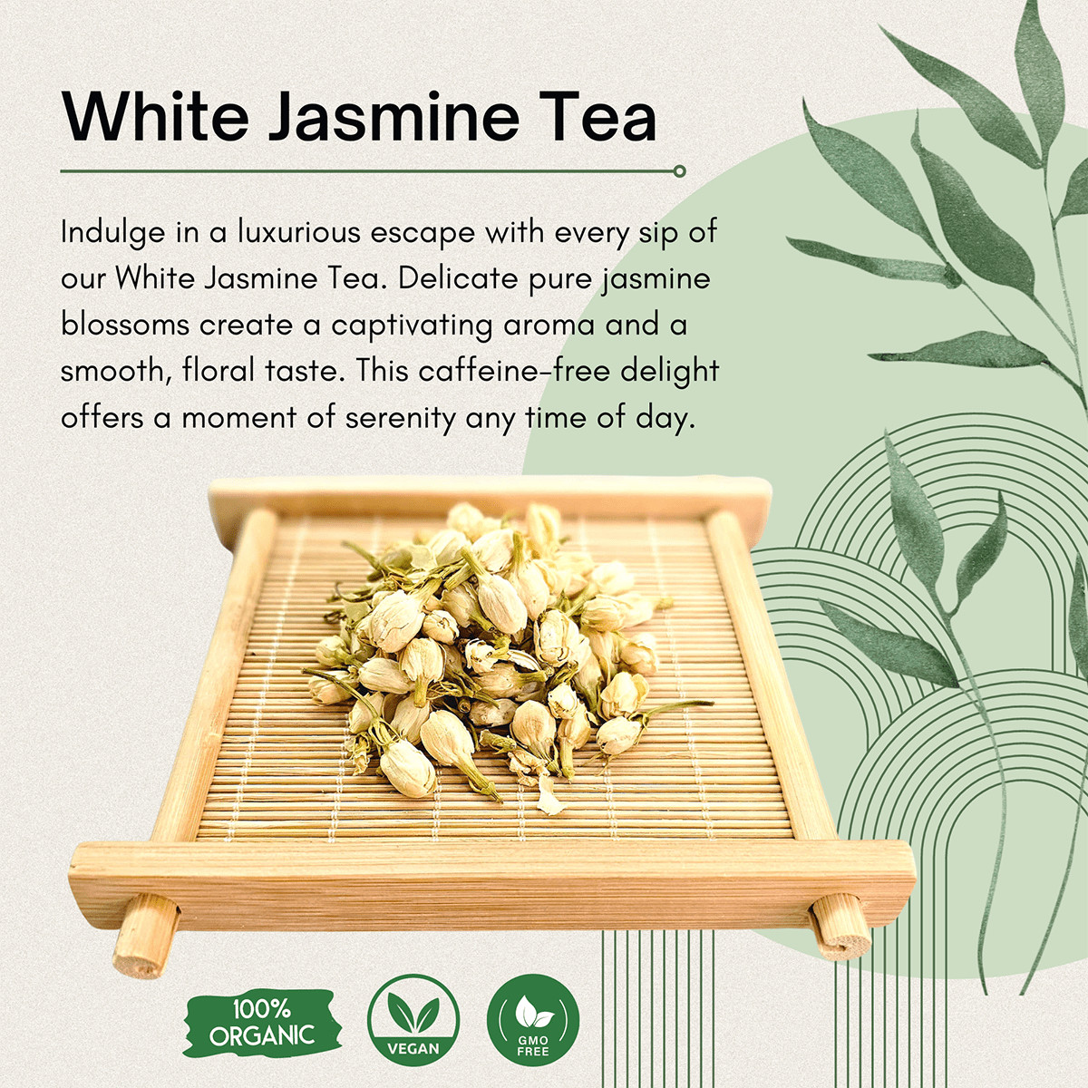 White Jasmine Tea Buds 100% Organic herbal infusion – FREE SHIPPING