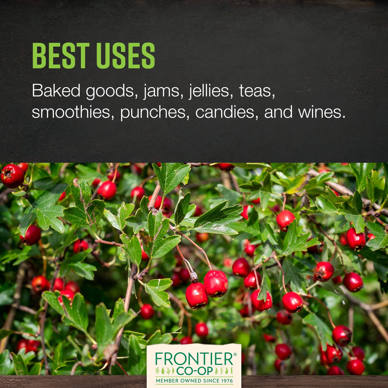Organic Hawthorn Berries 1 Pound Bulk Tea and Baking Use Non Irradiated Kosher