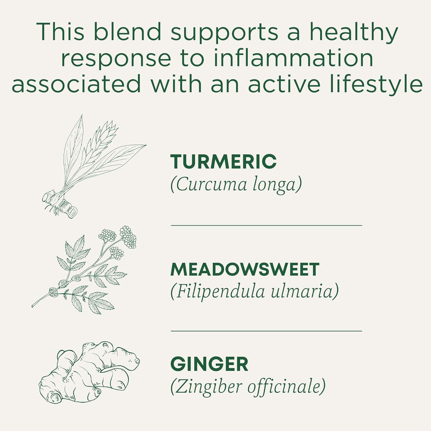 Traditional Medicinals Tea, Organic Turmeric w/Meadowsweet & Ginger, Supports a