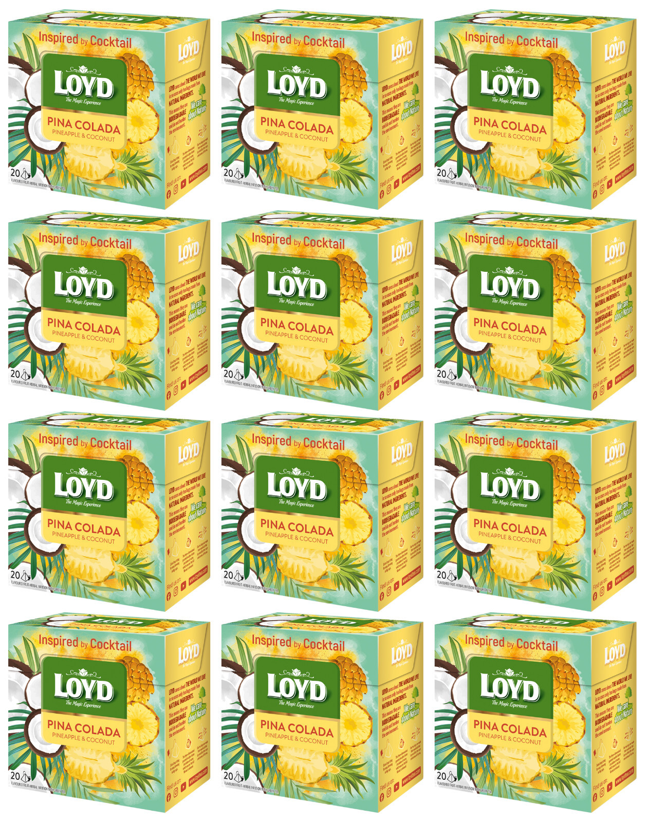 12 LOYD PINA COLADA Pineapple & Coconut Flavor 20 Pyramid Bags Tea Boxes 34g