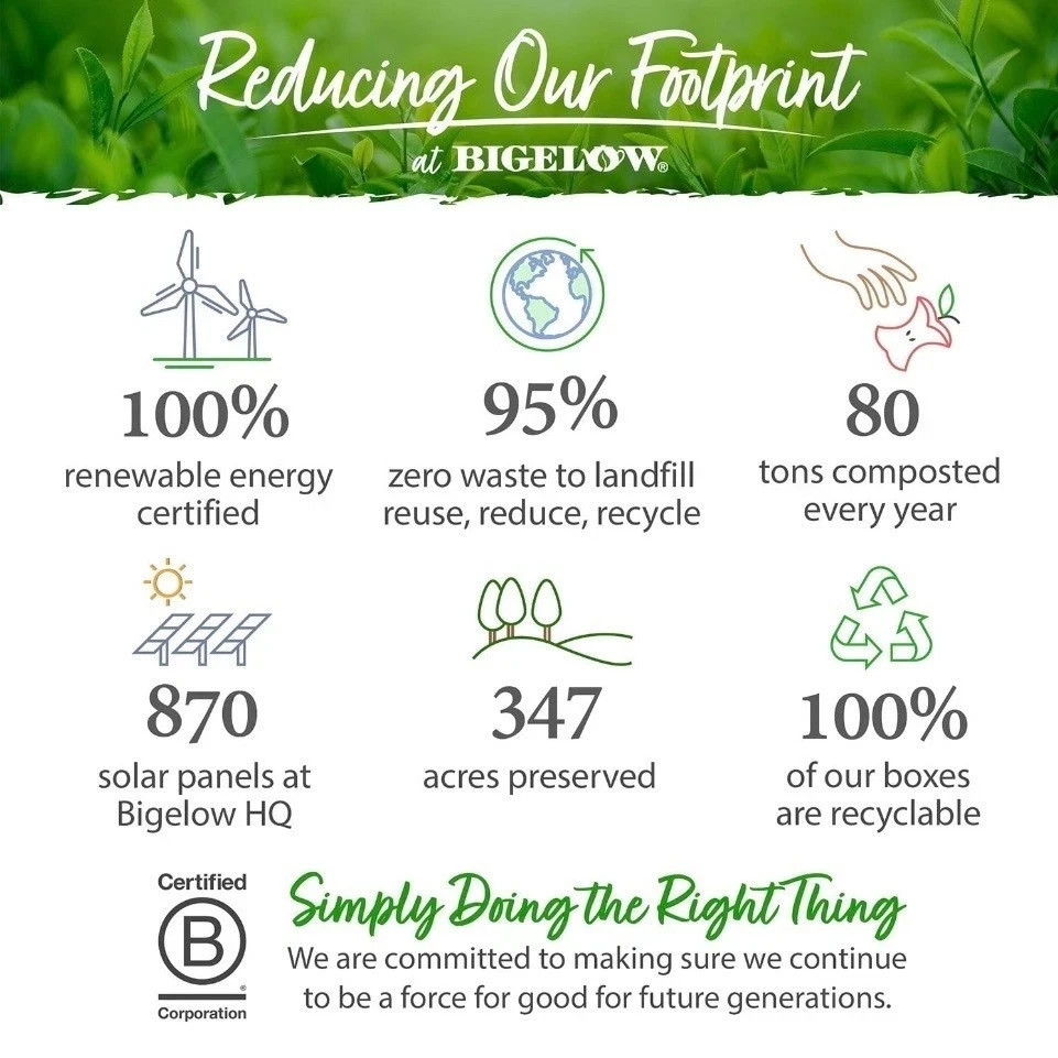 Bigelow Premium Organic Green Tea 140 Count Bags Healthy