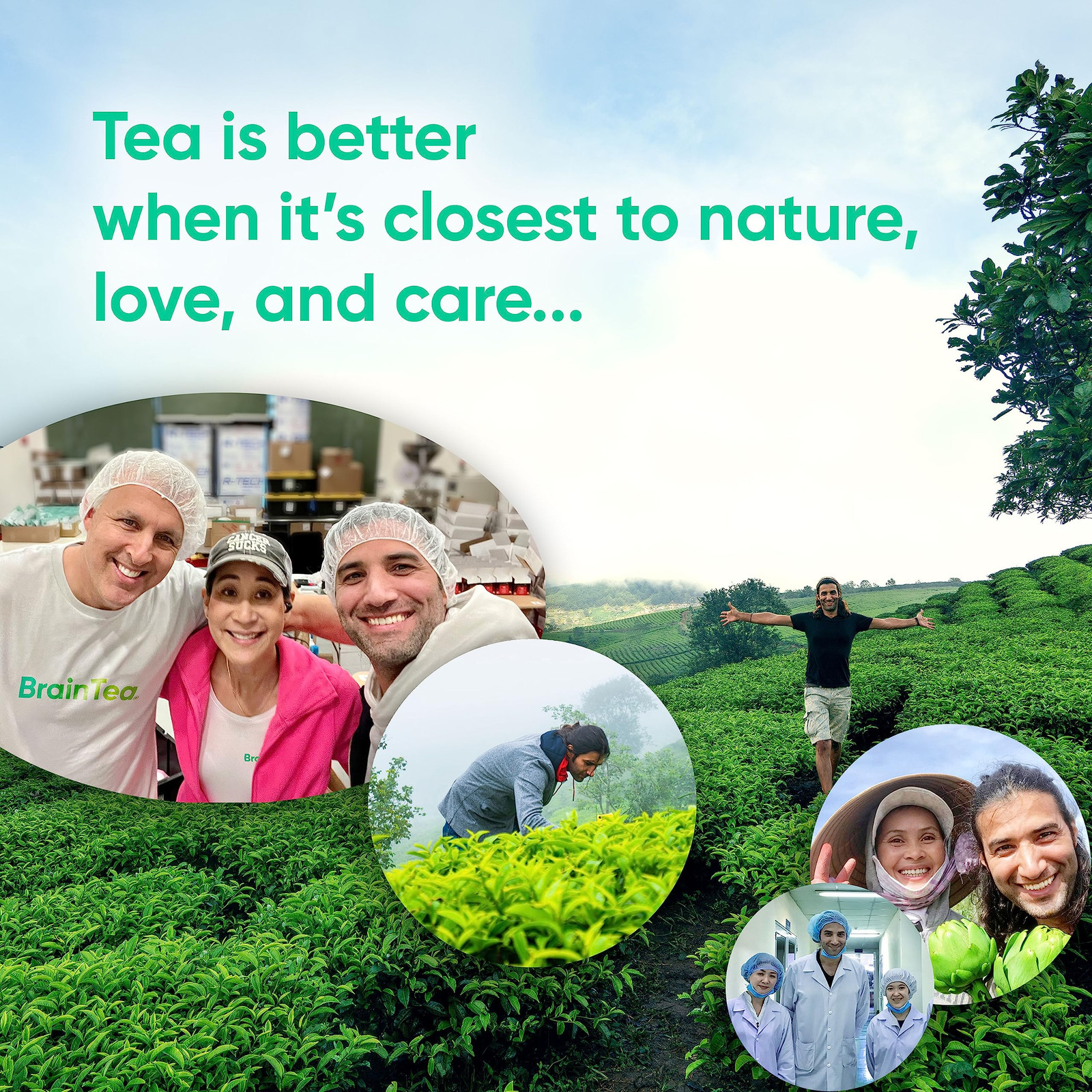 Focus & Memory – Organic Memory Tea Brain Booster, Ginkgo Biloba Tea, Gotu Ko…