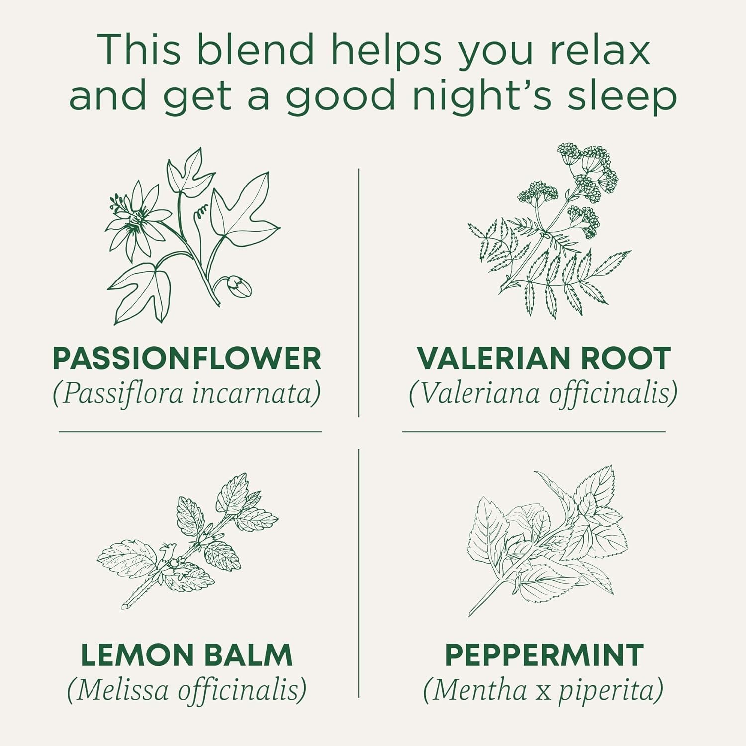 Organic Nighty Night Extra Tea with Valerian Root – 16 Bags for Relaxation