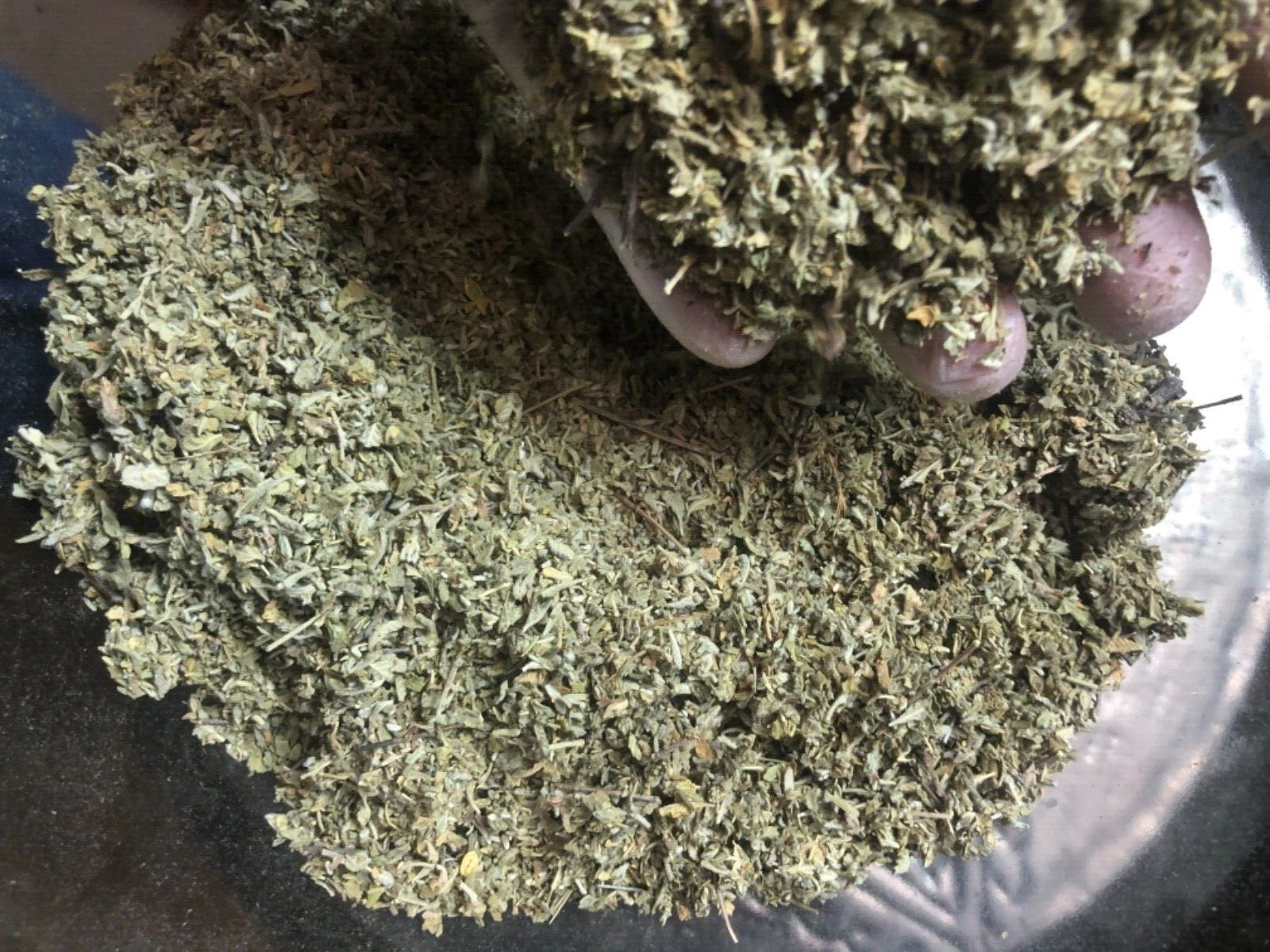DAMIANA leaves w/c wild crafted leaf cut c/s bulk HERB 1/2 oz