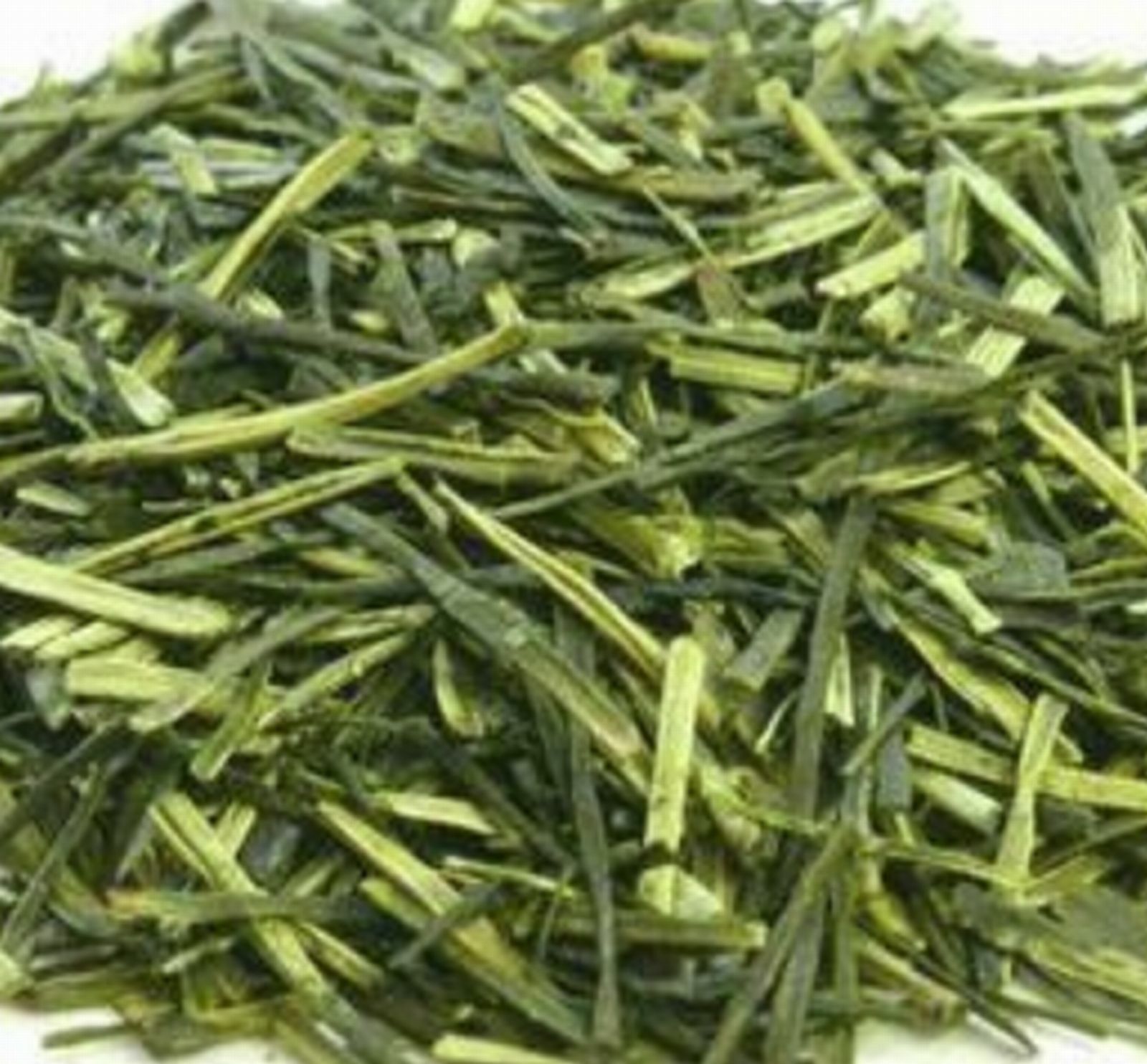 Japanese Green Tea NEW Kodawari Kukicha こだわり茎茶 500g(1.1lb) Special Offer