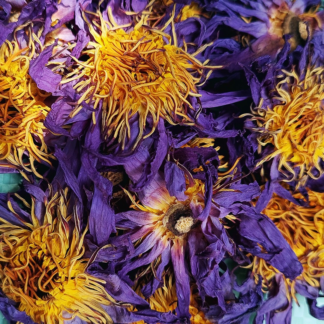 Dried Nymphaea Caerulea Flower 100% Organic Natural Hand Picked Egyptan Tea