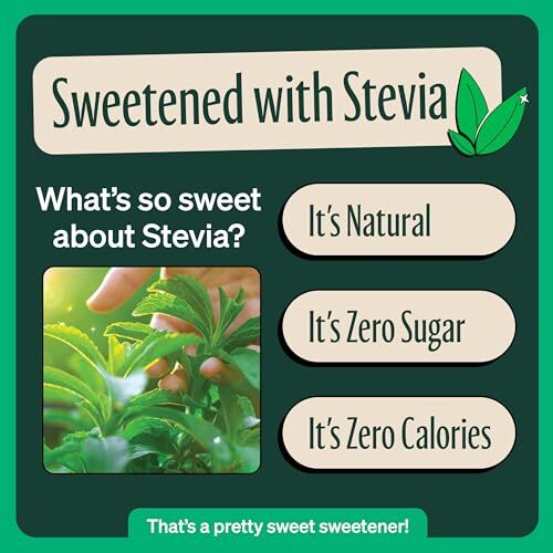 Zevia Organic Sugar Free Iced Tea Black Tea Peach 12 Ounce Cans Pack of 12