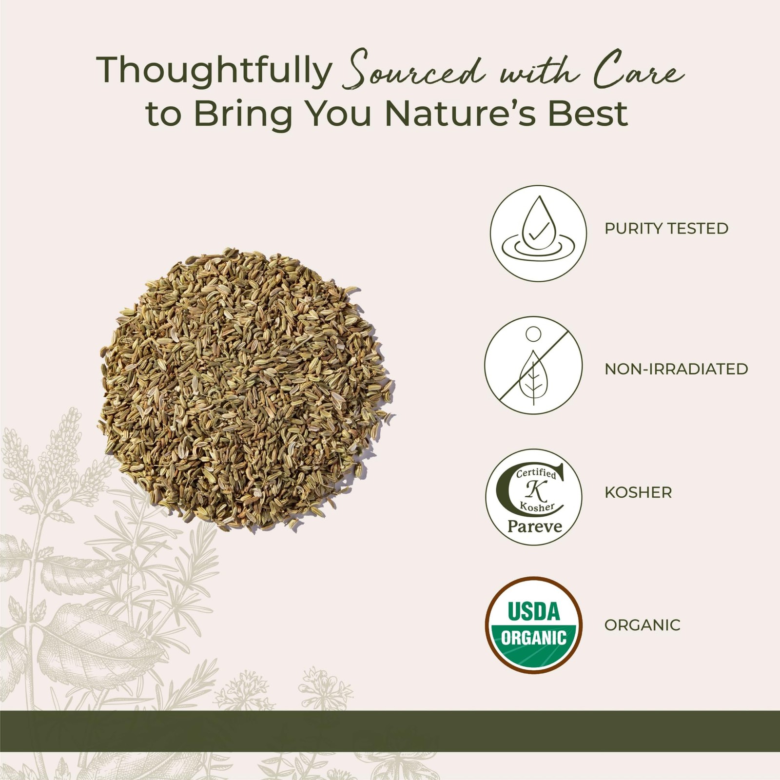 Starwest Botanicals Organic Fennel Seed – Dried 1 Pound (Pack of 1), Tan
