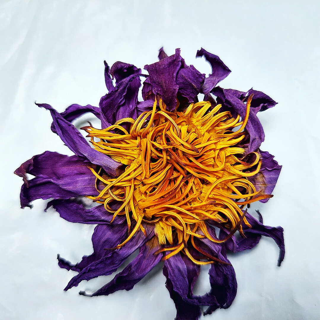 Blue Lotus Cut Flower Nymphaea Caerulea Organic Natural Herbal Tea From Ceylon
