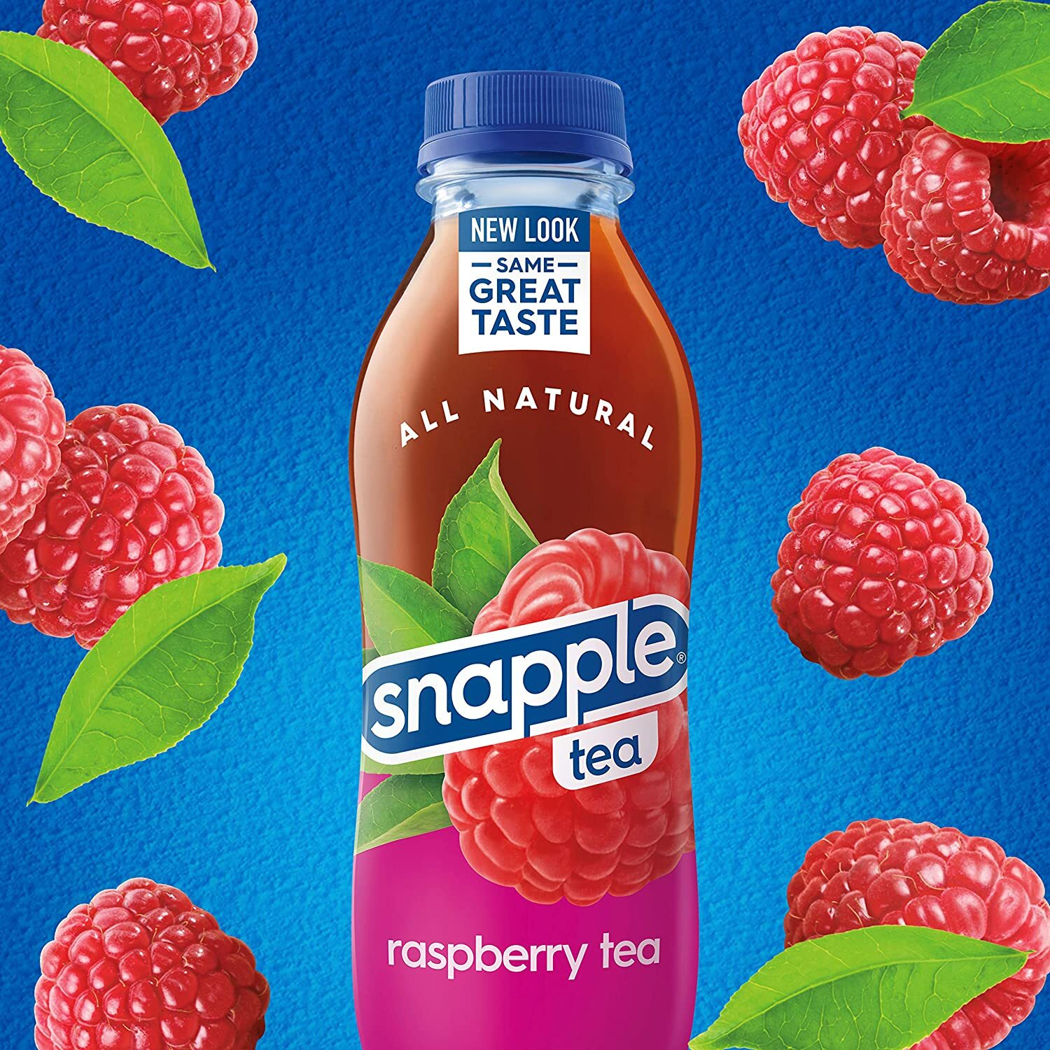 Snapple Raspberry Tea 16 oz Bottles (Pack Of 6)