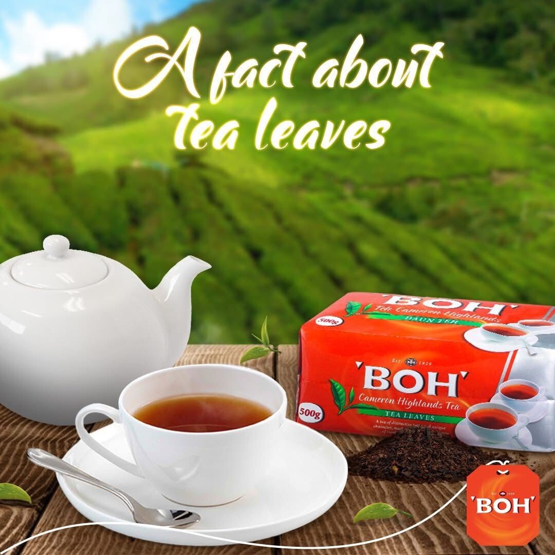 NEW BOH Cameron Highlands Tea leaf 500g X 6