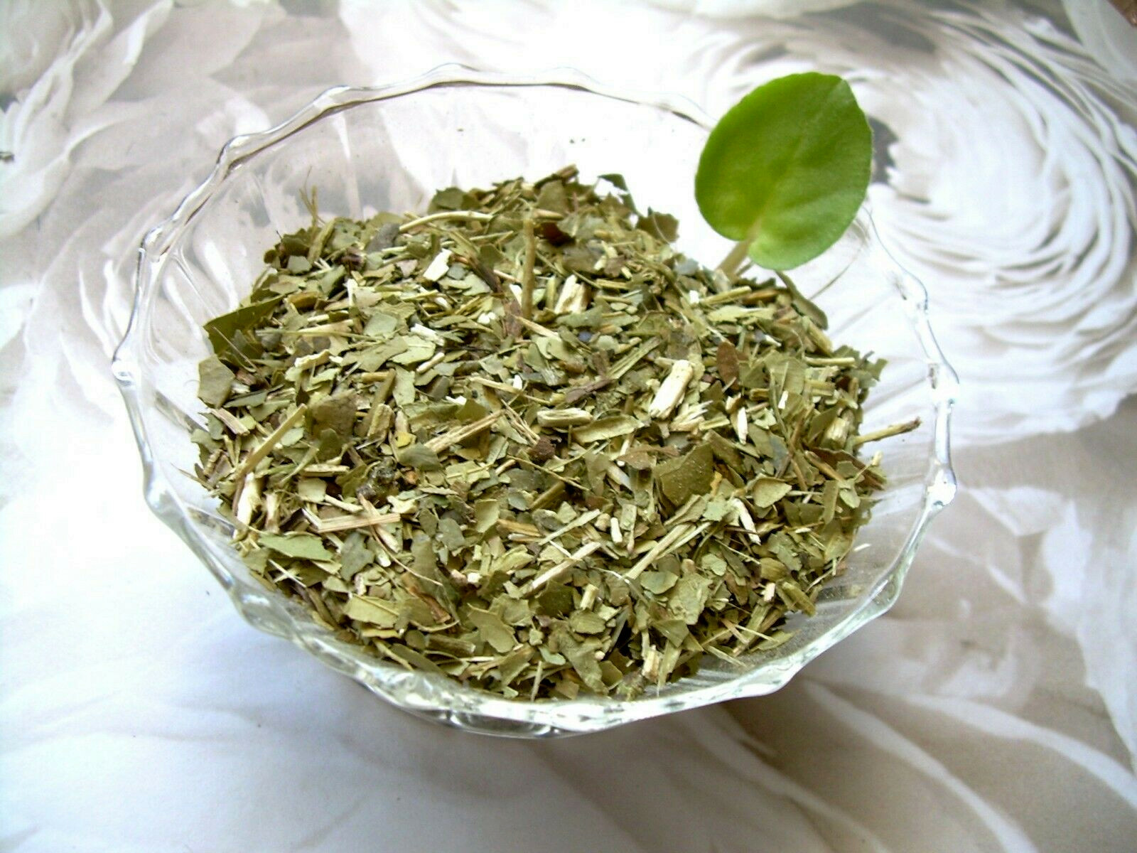 Tea Plus Herb Infusion South American Yerba Mate & Japan Sencha Green Tea Blend