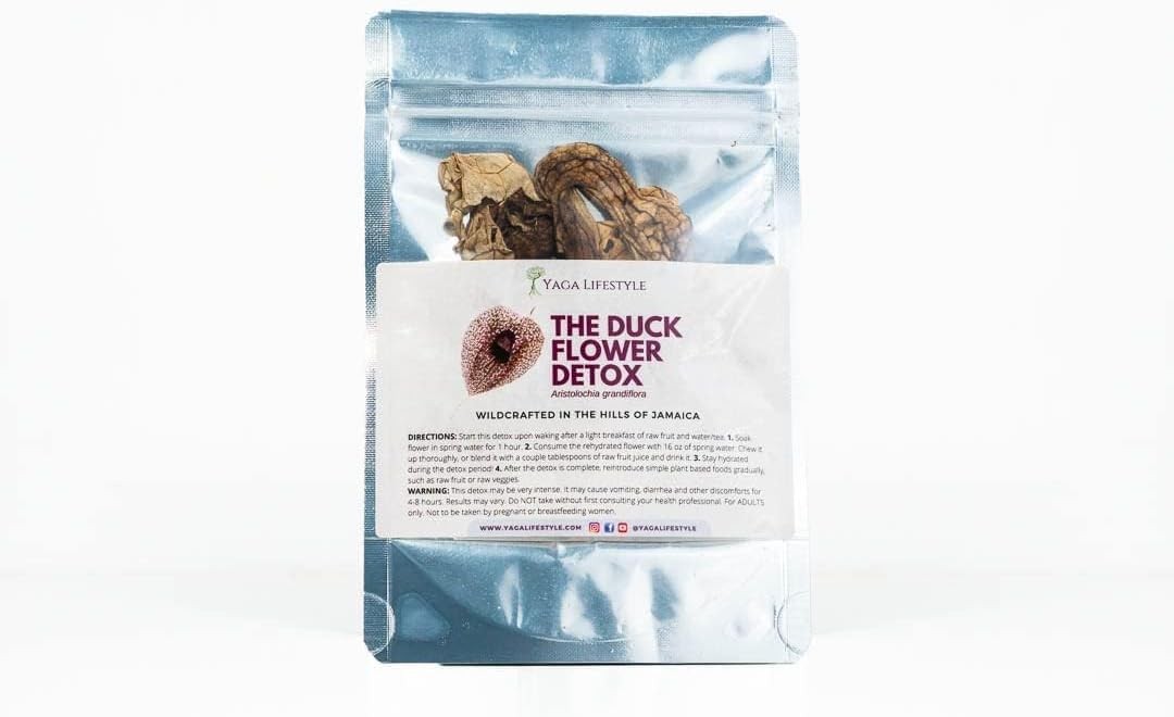 Detox Tea 2 Duck Flowers Aristolochia grandiflora Wildharvested from Jamaica