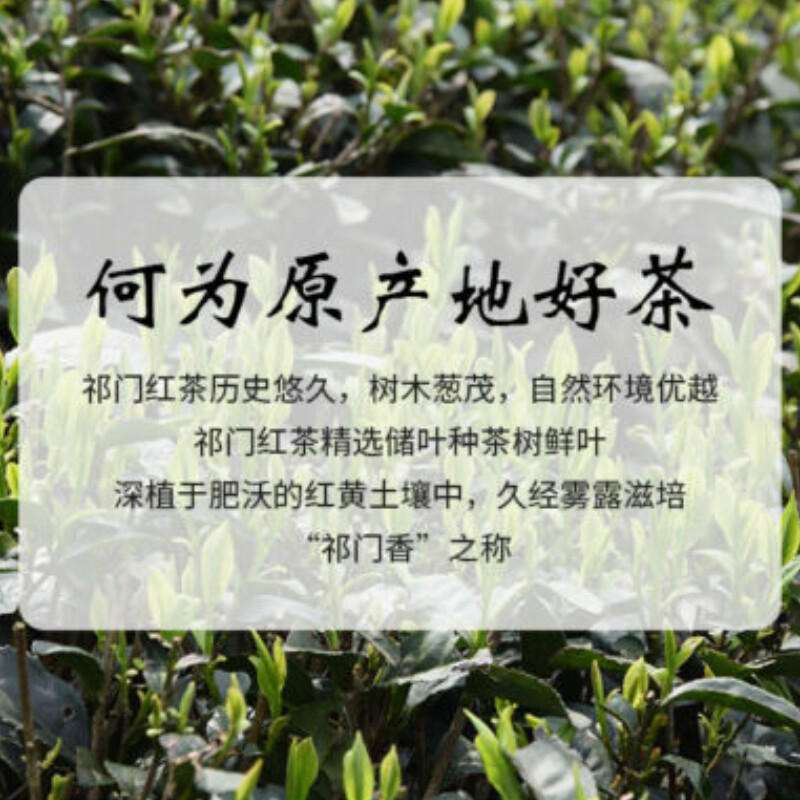 HelloYoung Keemun Black Tea 100g Premium Gongfu Hong Cha Rich Aroma Daily Brew