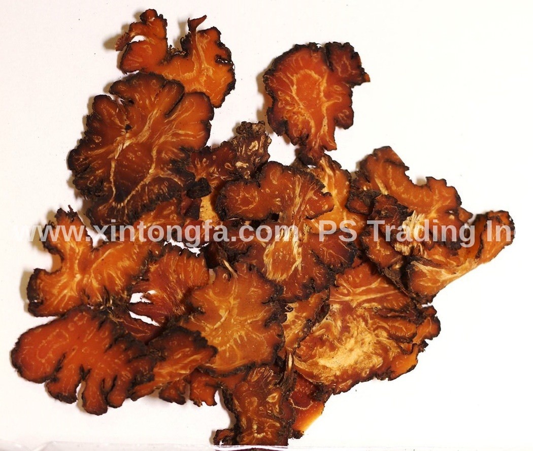川芎 1LB / 454g – Chuan Xiong / Szechuan Lovage Root / Ligusticum – US Free Ship!