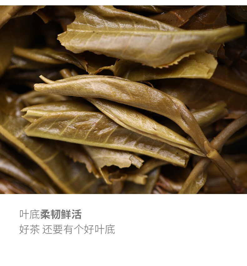 2019 Haiwan Remote Mountain Old Tree Puer Tea Cake 500g Raw Pu-erh Pu’er 191