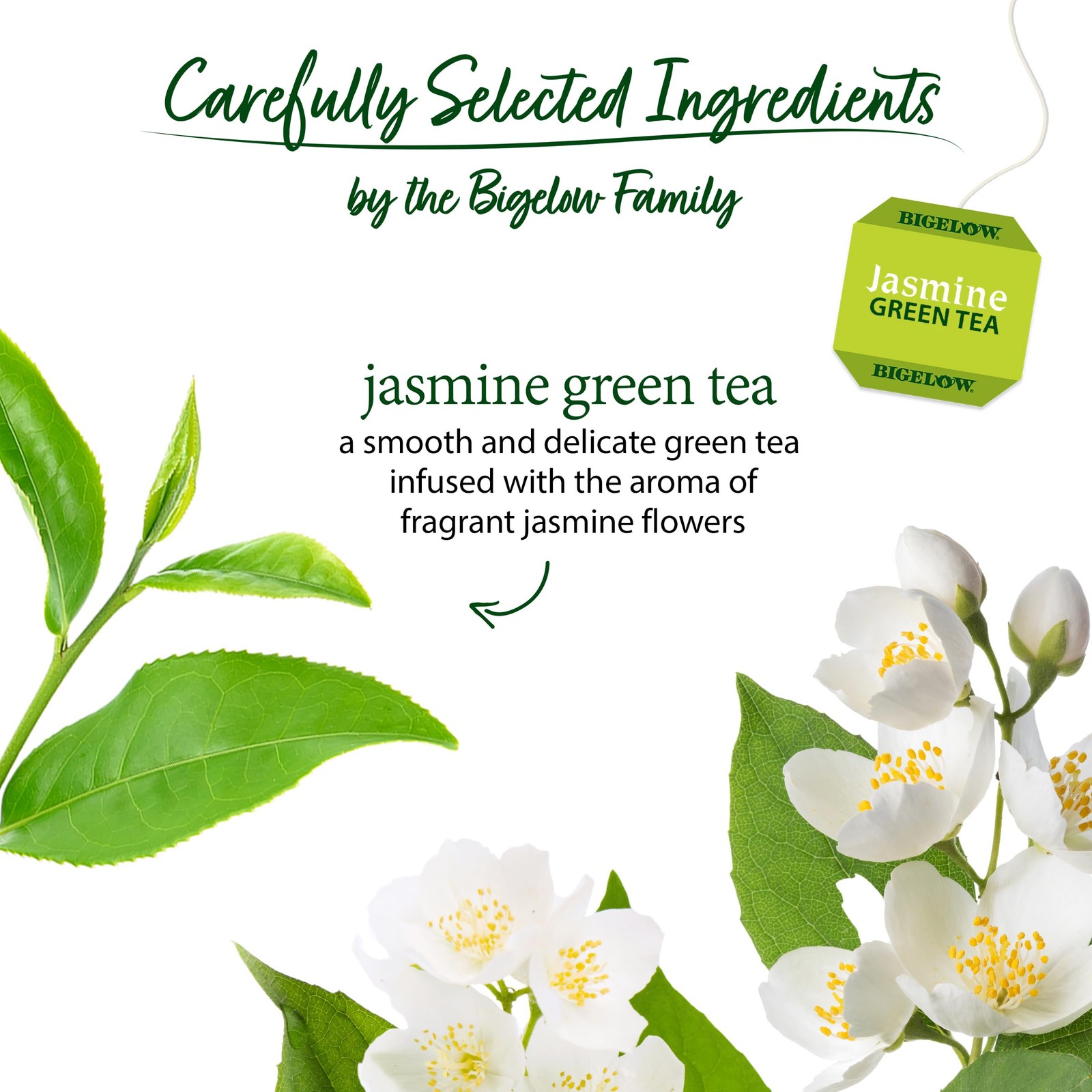 Bigelow Tea Jasmine Green Tea, Caffeinated with 20 Count (Pack of 6)
