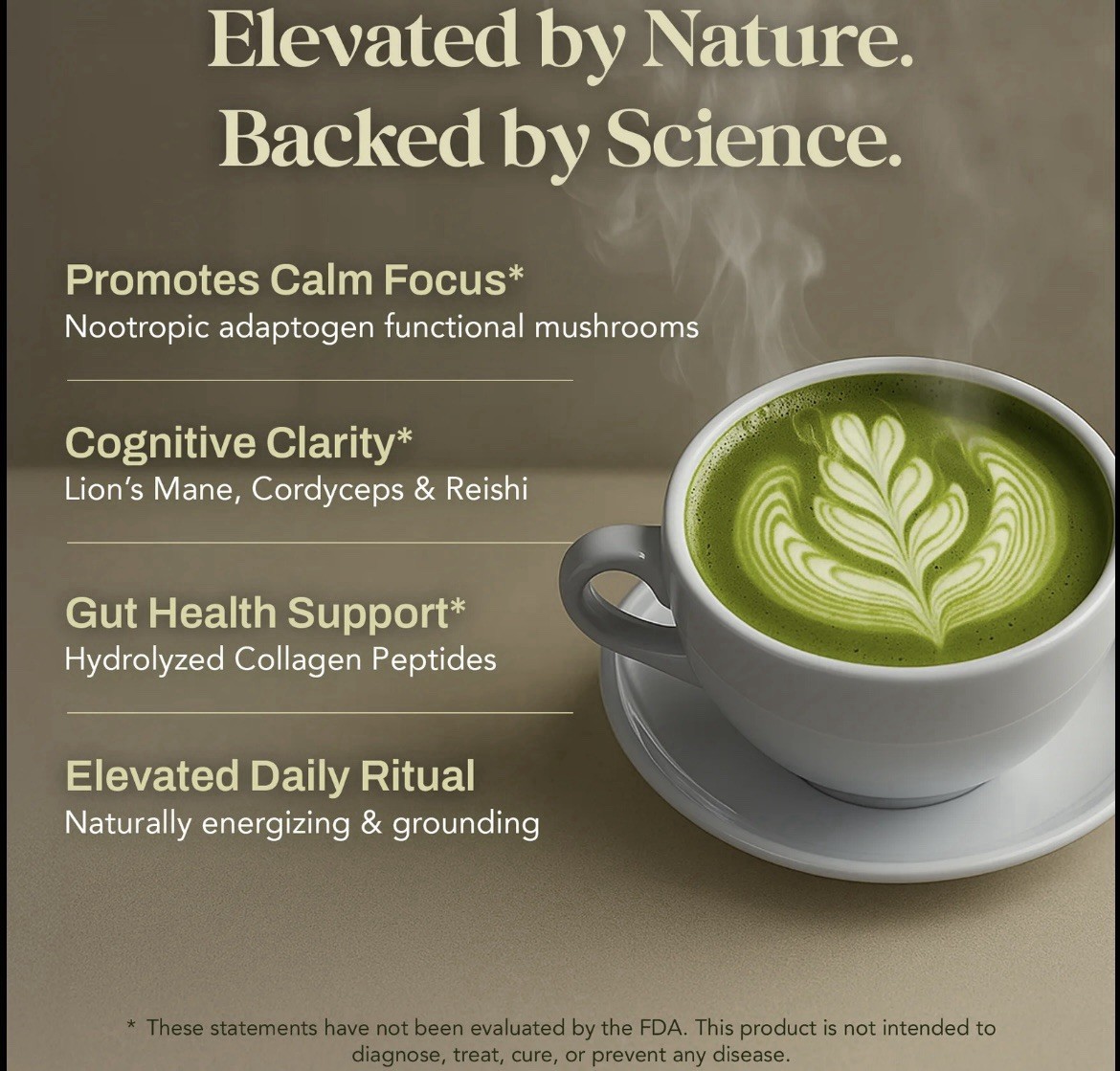 Naclea Mushroom Matcha Drink Mix Powder Sugar Free Japanese Ceremonial Green Tea