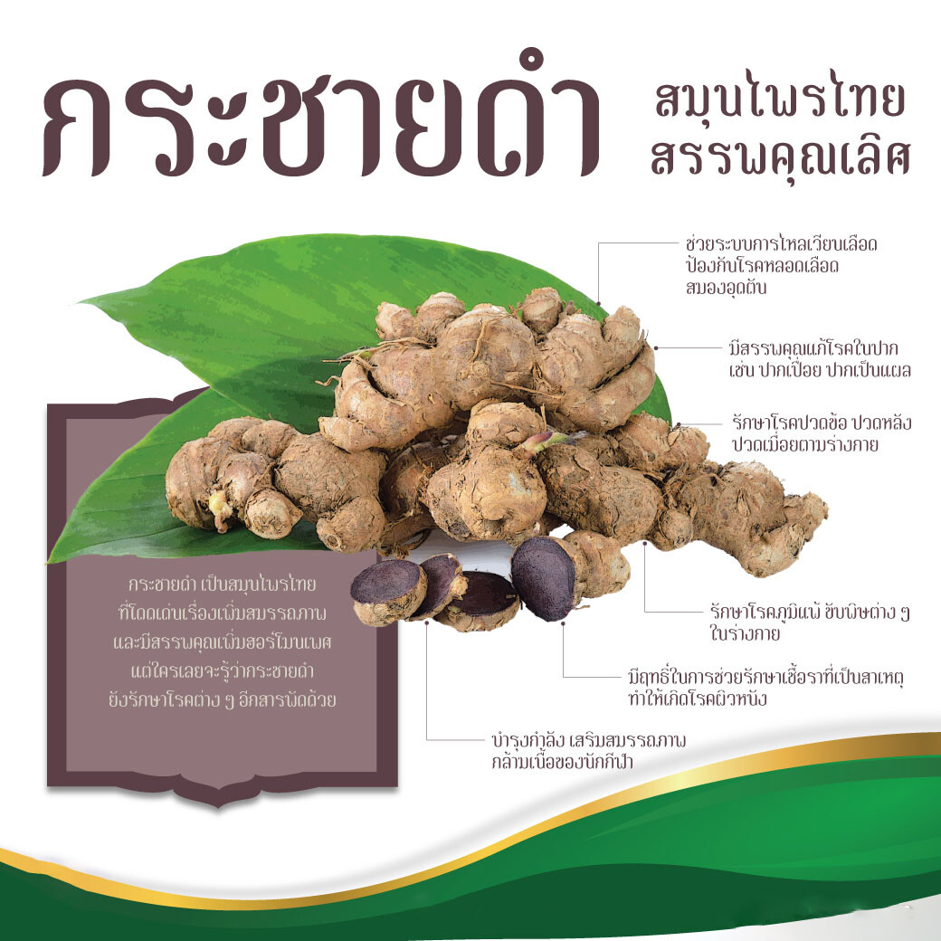 100X TEA Thai Black Ginger Drink MEN Kaempferia Parviflora Energy Strength+Track