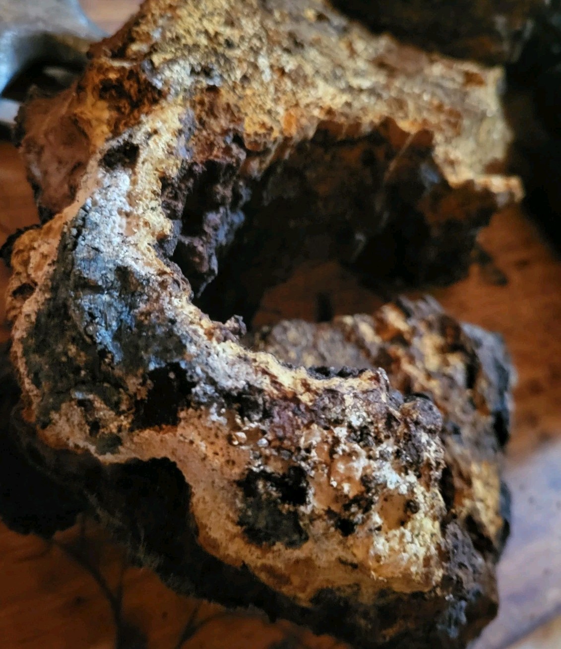 5 Oz CHAGA coarse ground Fresh. Delish.