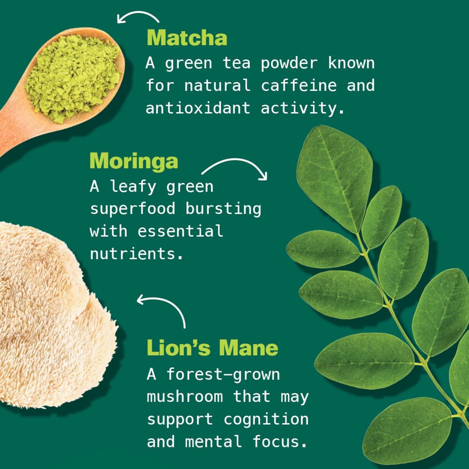 Matcha Moringa Organic Superfood Latte – Matcha Green Tea Powder for Natural Caf