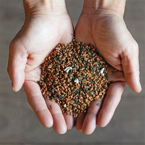 Direct from farm! Genmaicha Green Tea bags from Tea farmer in Ureshino, Japan