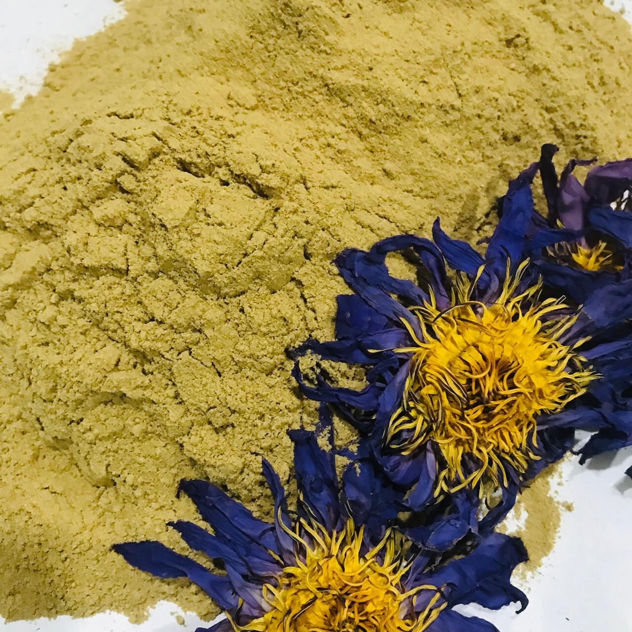 Dried Blue lotus Powder Organic Pure Quality Nymphaea Caerulea Flower Herbal Tea