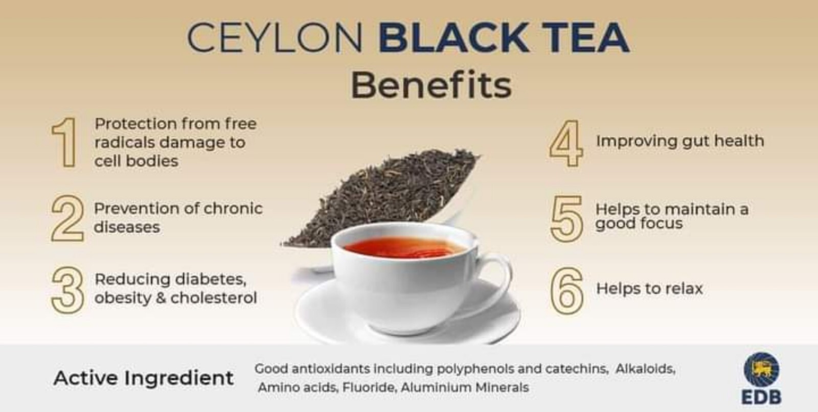 Ceylon Black Tea Loose Leaf Organic Natural BOPF Tea