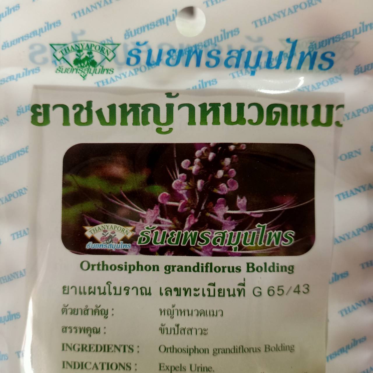 6X Java Tea Cat’s Whiskers Thai Herbal Organic Natural Orthosiphon Grandiflorus