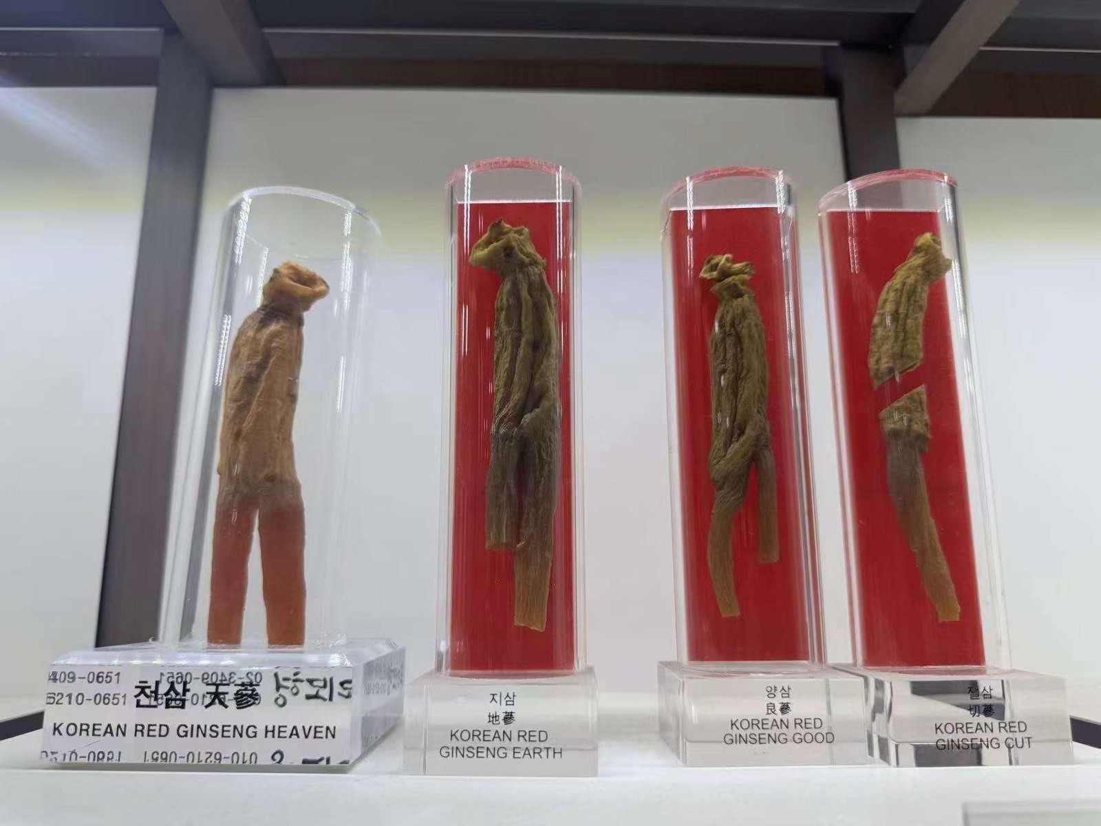 Korean 6 Year Red Ginseng Root Good Grade 40 Ji 300g ( 24Root ) 10% Top Grade