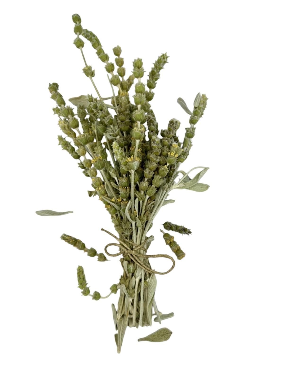Greek Mountain Tea Sideritis Syriaca – Malotira Cretan Tea 70g-4.9kg
