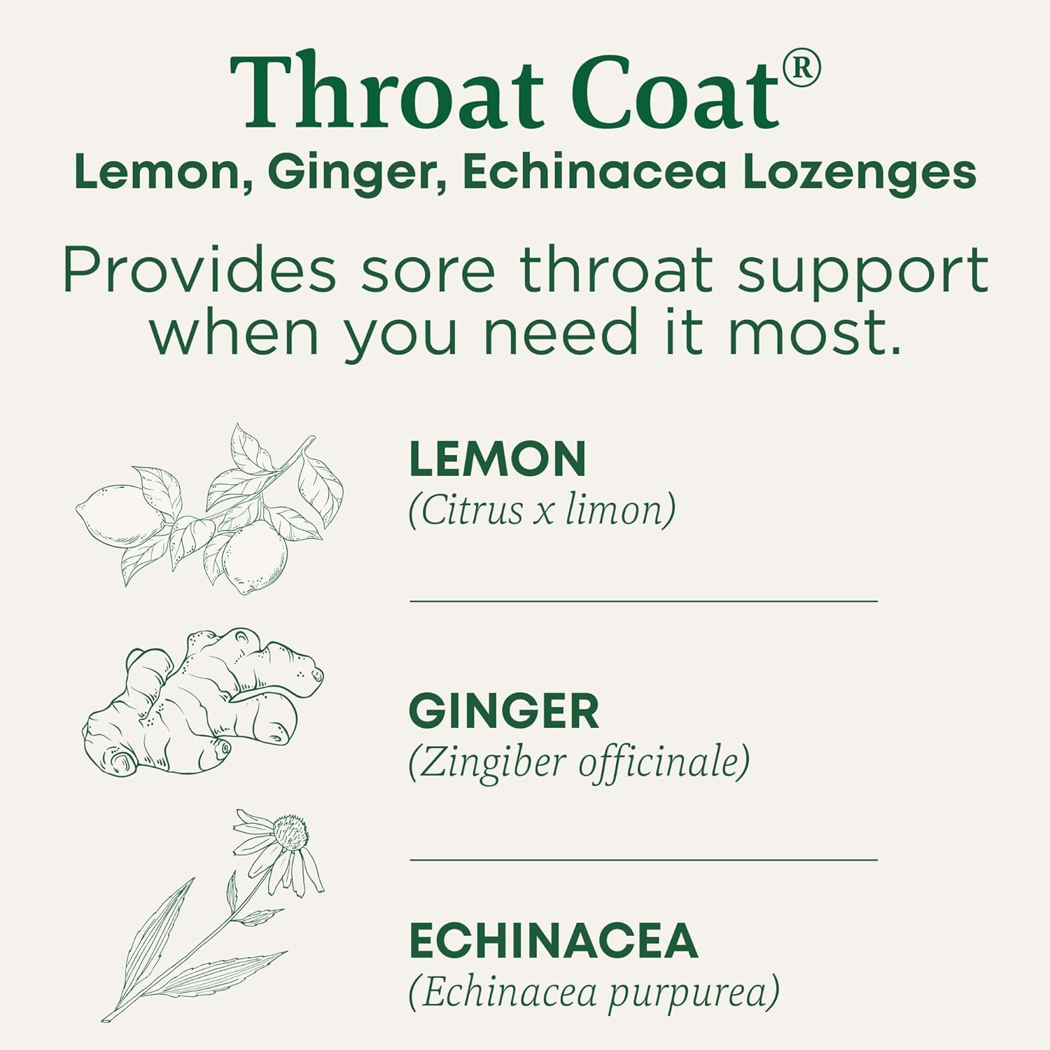 Traditional Medicinals Lozenges, Organic Throat Coat 16 Count (Pack of 1)