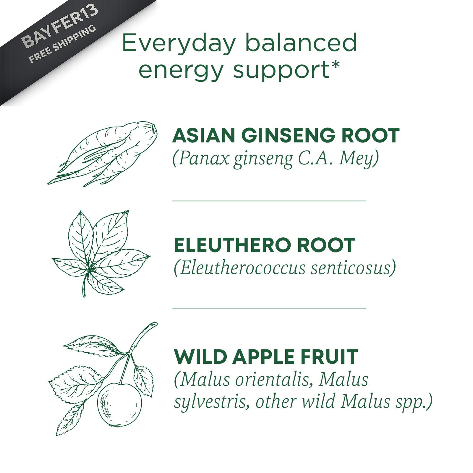 Traditional Medicinals Organic, Stress Ease Focus, 16 Count (Pack of 1)