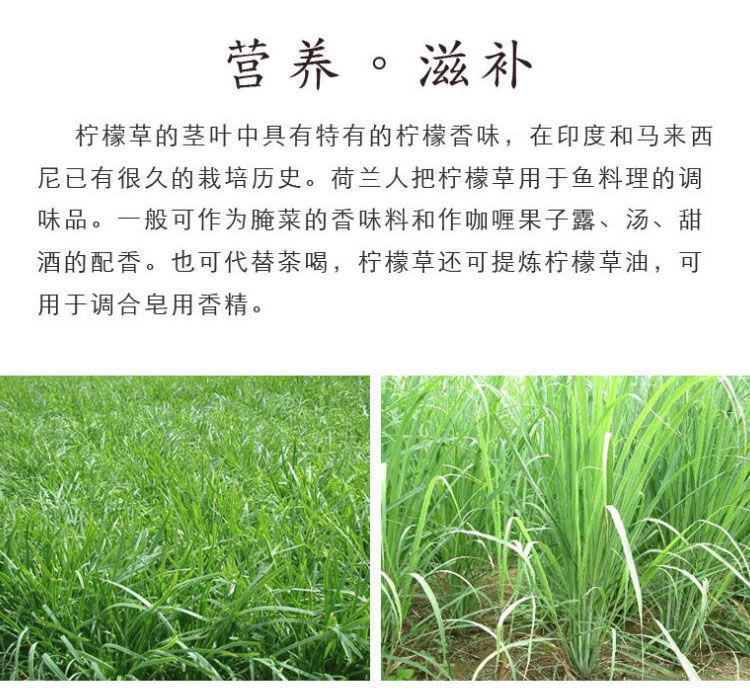 Lemon Grass Cut Dried Loose Herb * Natural Lemongrass Tea