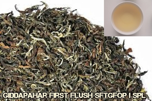 Darjeeling Tea (FRESH FIRST FLUSH 2024) GIDDAPAHAR SFTGFOP I SPECIAL 1 Kg