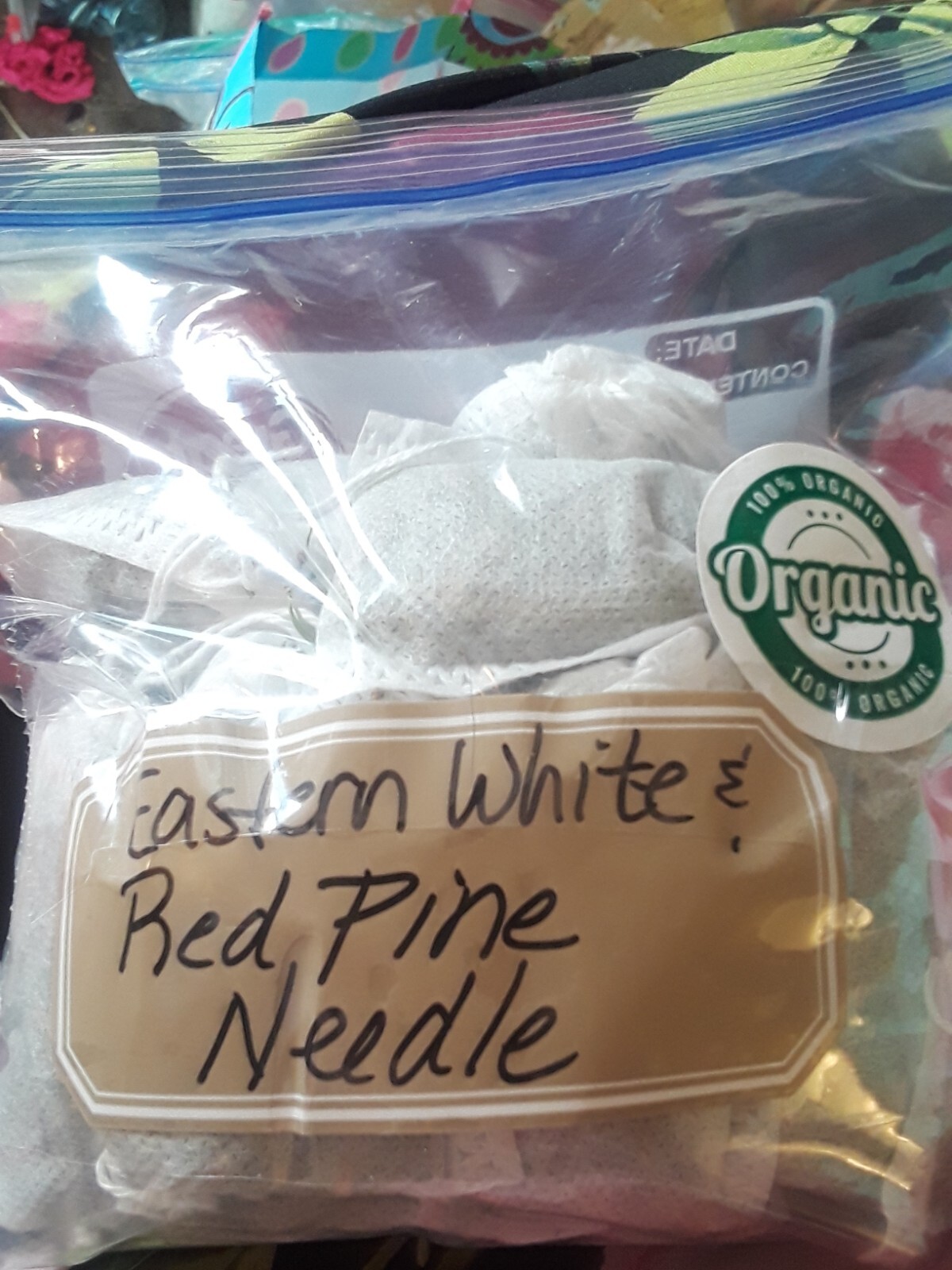 25 Pc Lot: Organic Eastern White Pine Needle & Red Pine Tea Bags Fresh Tree Bag