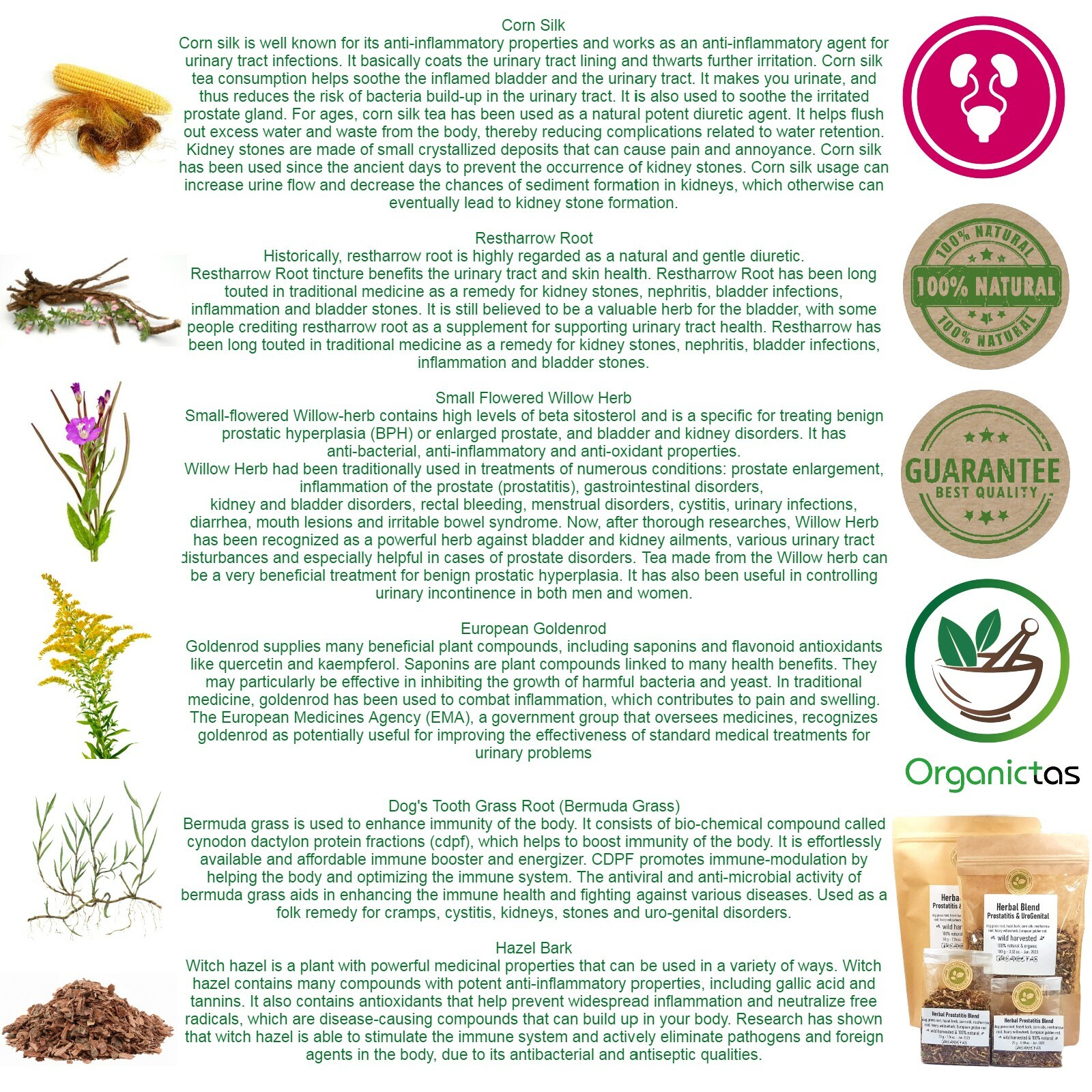 Urinary System & Prostate Herbal Blend Tea, 6 Herbs for Urinary Tract Problems