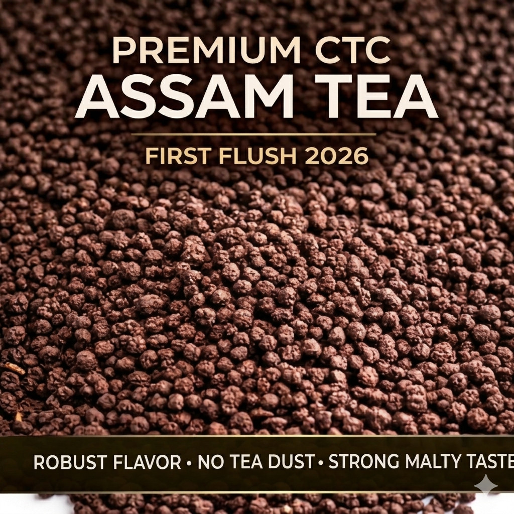 Assam CTC First Flush Tea 2026 Fresh Hajua PF Loose Leaf Blend