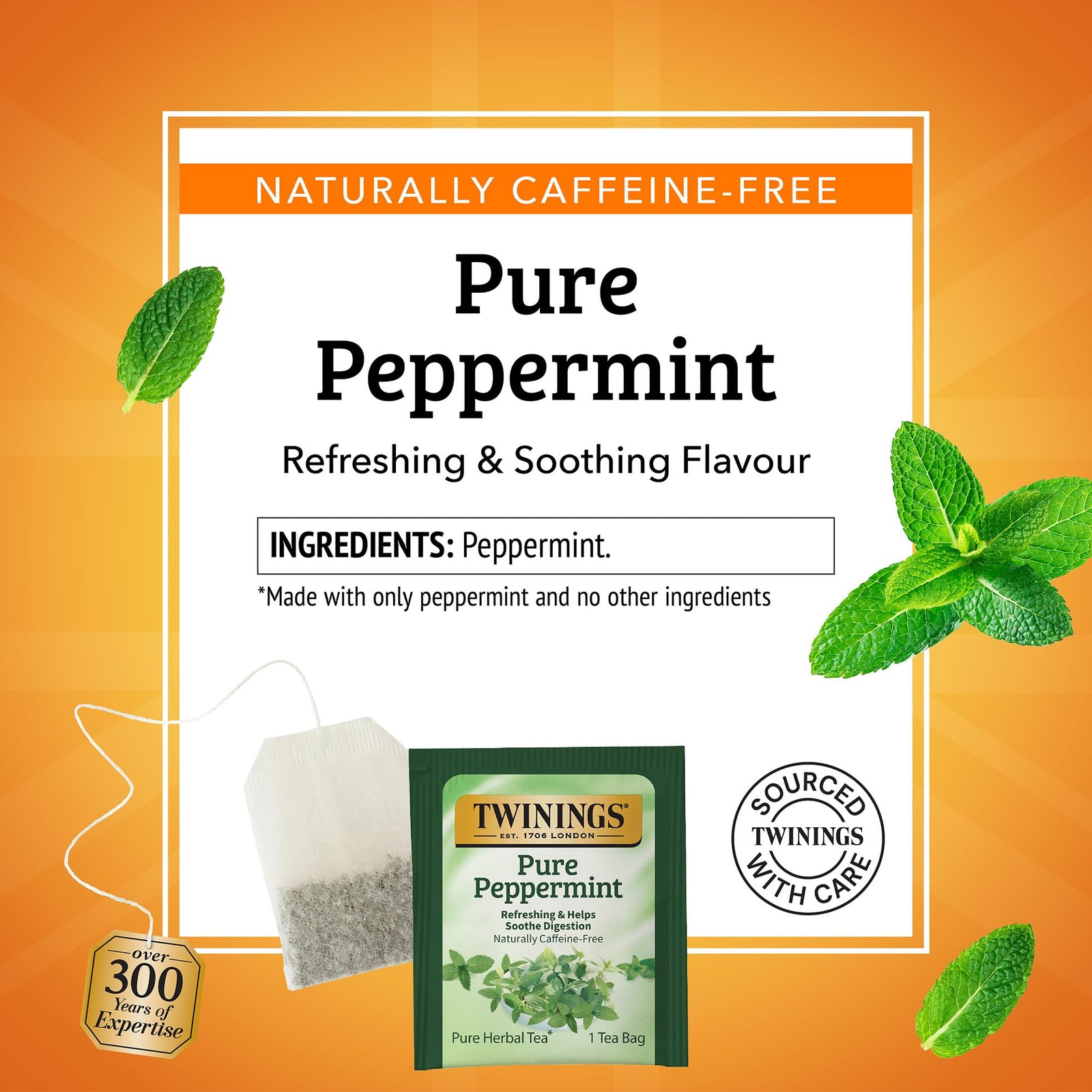 Twinings Pure Peppermint Herbal Tea Individually Wrapped Bags 20 Count Pack of 1