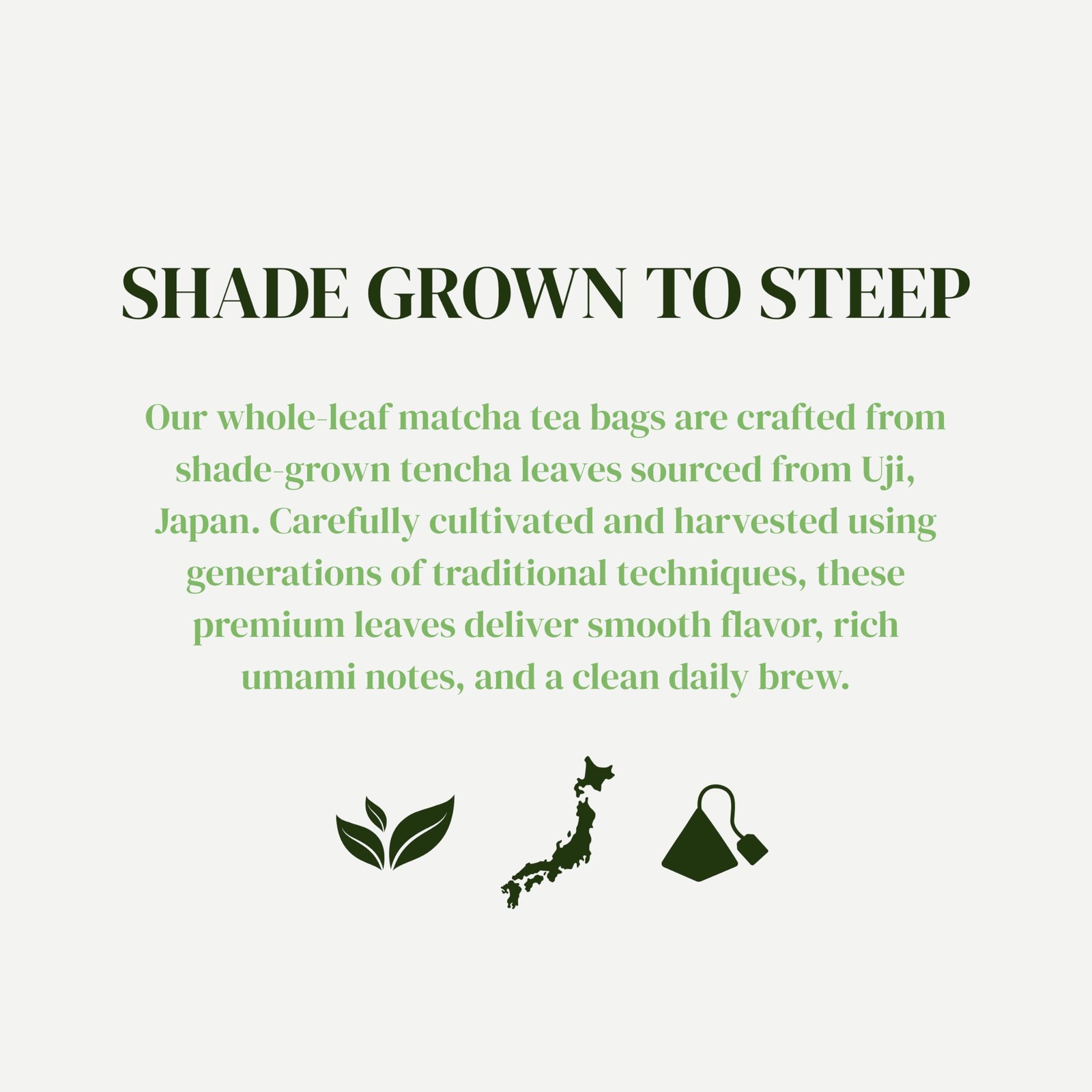 Matcha Green Tea Powder – Organic Japanese Matcha – 20 Teabags – Rich Umami