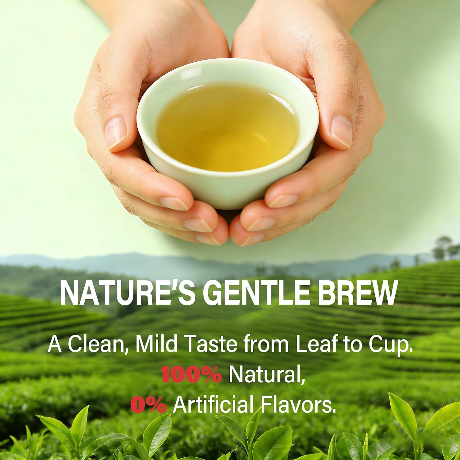 Saffron Tea Bags, Herbal Tea for Mood Support, Calm & Sleep Support, Blend with