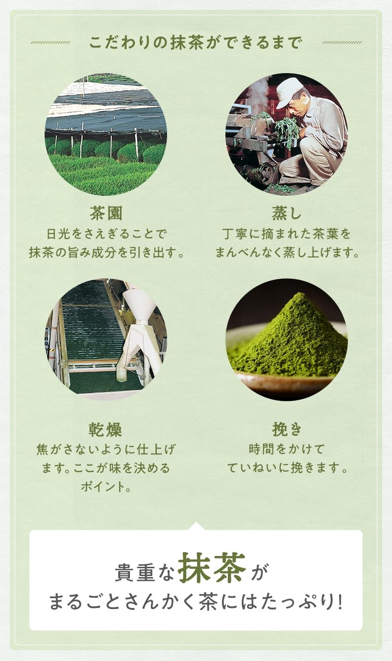 Tea Life Matcha-infused Whole Triangle Tea for Teapots, 5g x 20 packets, Roasted